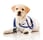 Little dog as a vet wearing robe and stethoscope - isolated over a white background.jpeg]